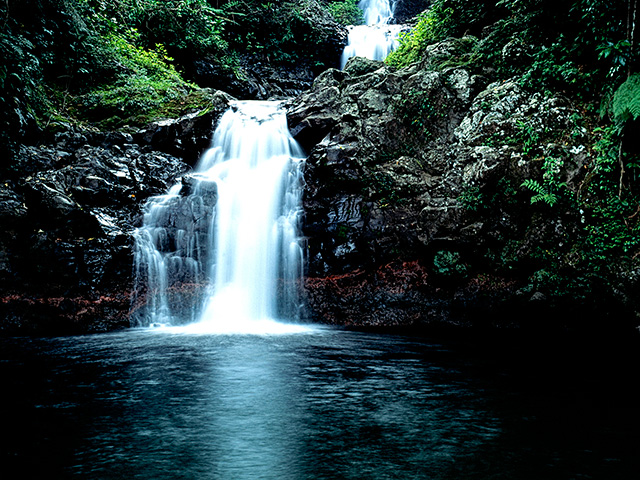 Fiji-TV2-Ravilevu-Nature-Reserve