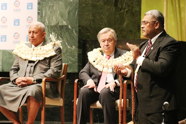 IMG 0477 copy copy copy copy copy copy copy copy copy