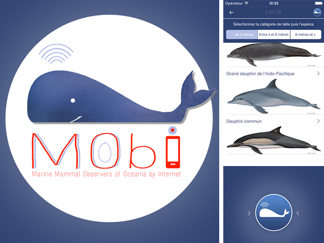 MObI Web copy