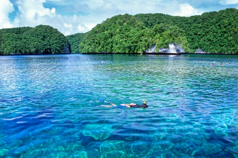 Marine Protected Area Chelbacheb Palau Stuart Chape copy