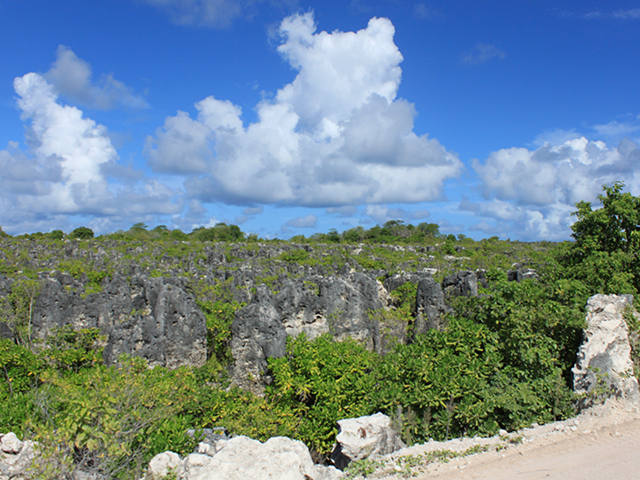 Nauru copy