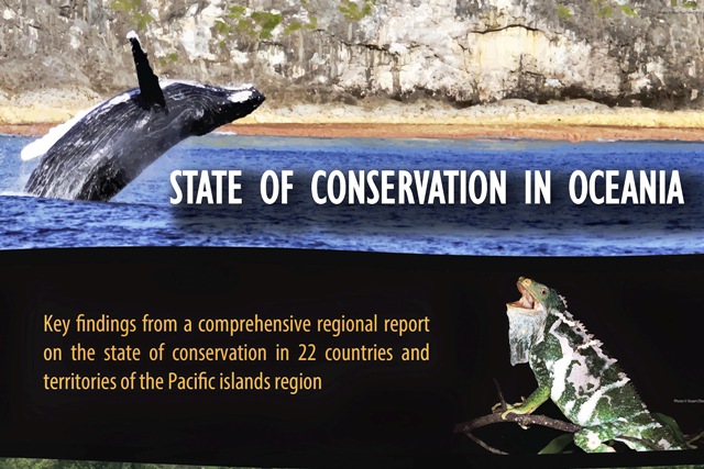 SOCO Synthesis Front Cover web