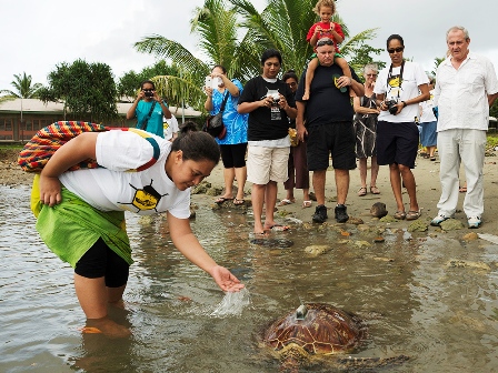 Turtle release 2