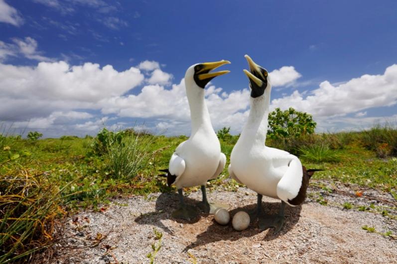 Y.Fukuda 002  G5W6388 800