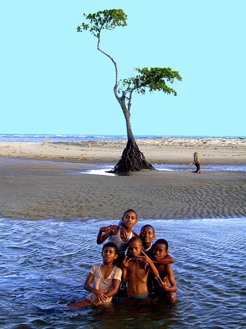 innocence of children LifeWeb SuzyLyons