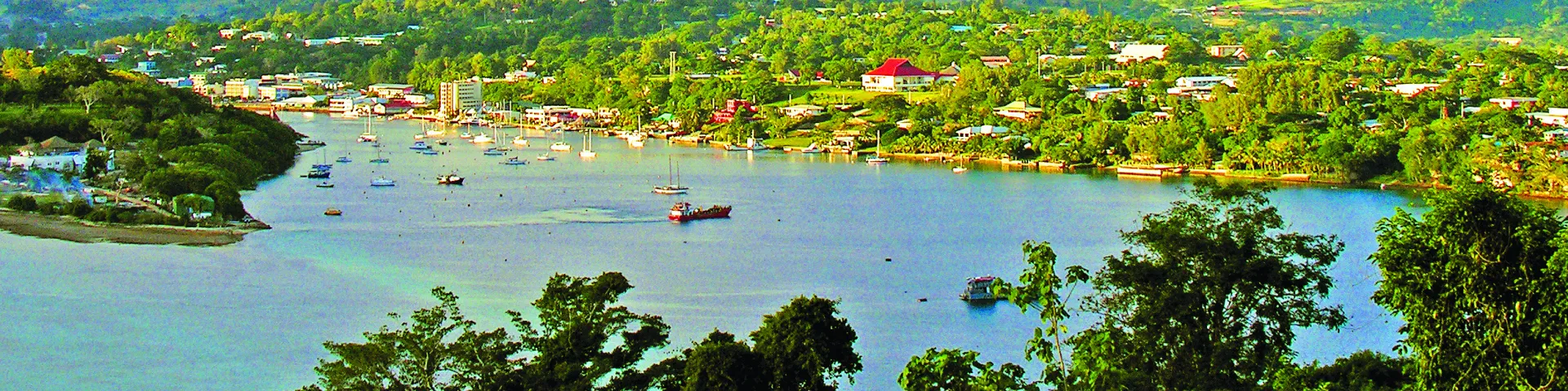 Protect our Islands (POI)