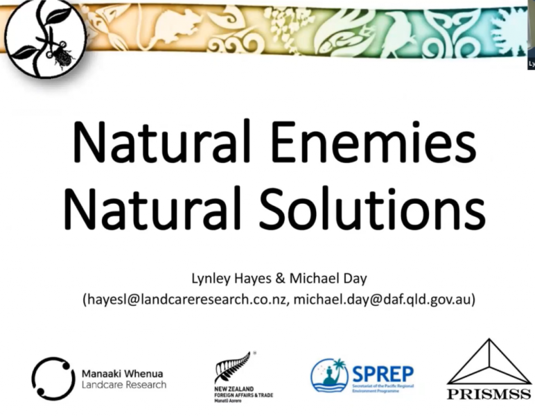 NENS Workshop - March 2021 (playlist)