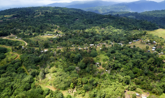 environment