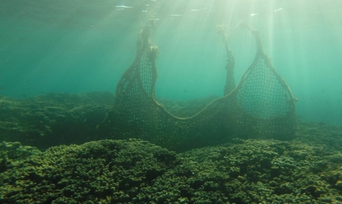 Marine Debris