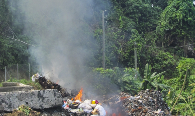 Halting our loss of biodiversity, in a world of manufacturing processes