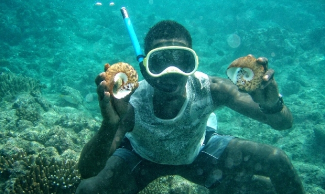 Trochus monitoring in Solomon Islands, photo by Stuart Chape