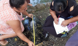 Officers tagging and measuring the turtle 