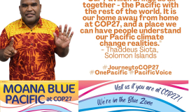 COP27