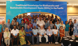 Traditional Knowledge