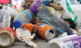 Beach clean-up