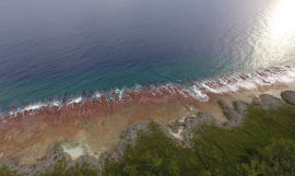 Mitiaro, Cook Islands Photo Credit: Hayley Weeks