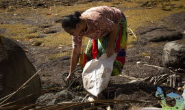 Efforts being made to keep the Pacific clean 