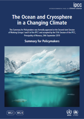 screenshot-srocc-final-report