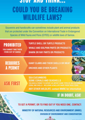 before_you_leave_samoa_stop_and_think