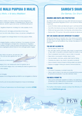 Samoa's shark sanctuary