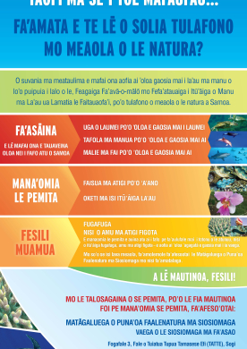 Ae e te le'i tu'ua Samoa, taofi ma se'i toe mafaufau...