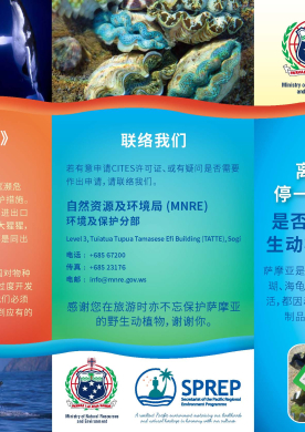 Before you leave Samoa...brochure chinese version