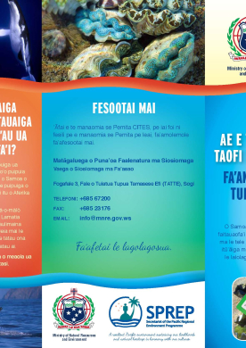 Ae e te le'i tu'ua Samoa, taofi ma se'i toe mafaufau...brochure