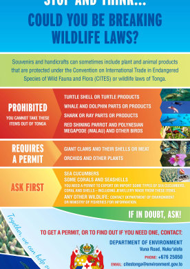 English banner - Before you leave stop and think...