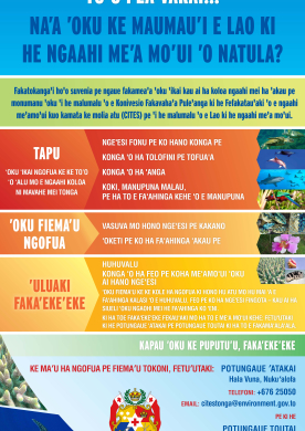 Banner in Togan version - Before you leave stop and think...