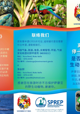 Brochure Chinese version - Before you leave stop and think...