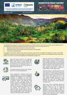 PacWastePlus country profile snapshot - PNG