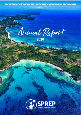 annual report 2020