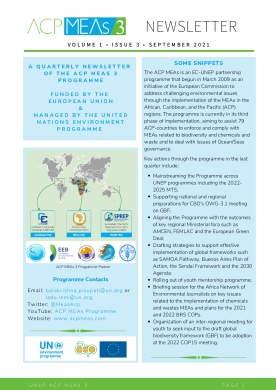 ACP MEAs 3 quarterly newsletter