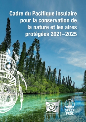 cadre-du-pacifique-insulaire-2021-2025-pour-la-conservation-de-la-nature-et-les-aires