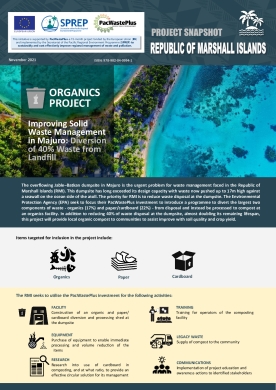 project-snapshot-rmi