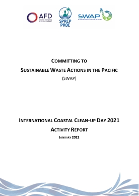 SWAP clean up activity report