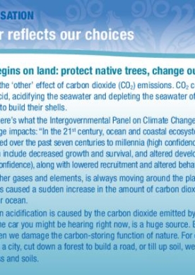 ocean-reflects-choices