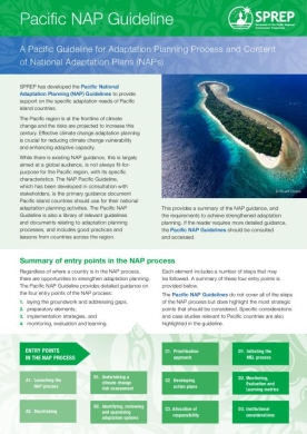 National-Adaptation-Plan