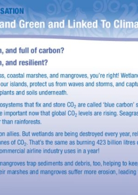 wet-green-climate-change