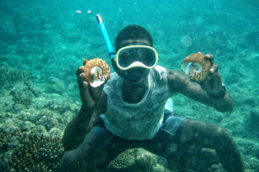 Trochus monitoring in Solomon Islands, photo by Stuart Chape